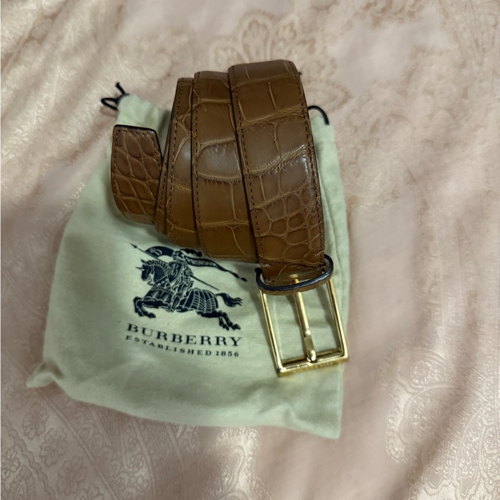 Burberry Brown Belt Bag with Signature Design - Picture 4 of 8